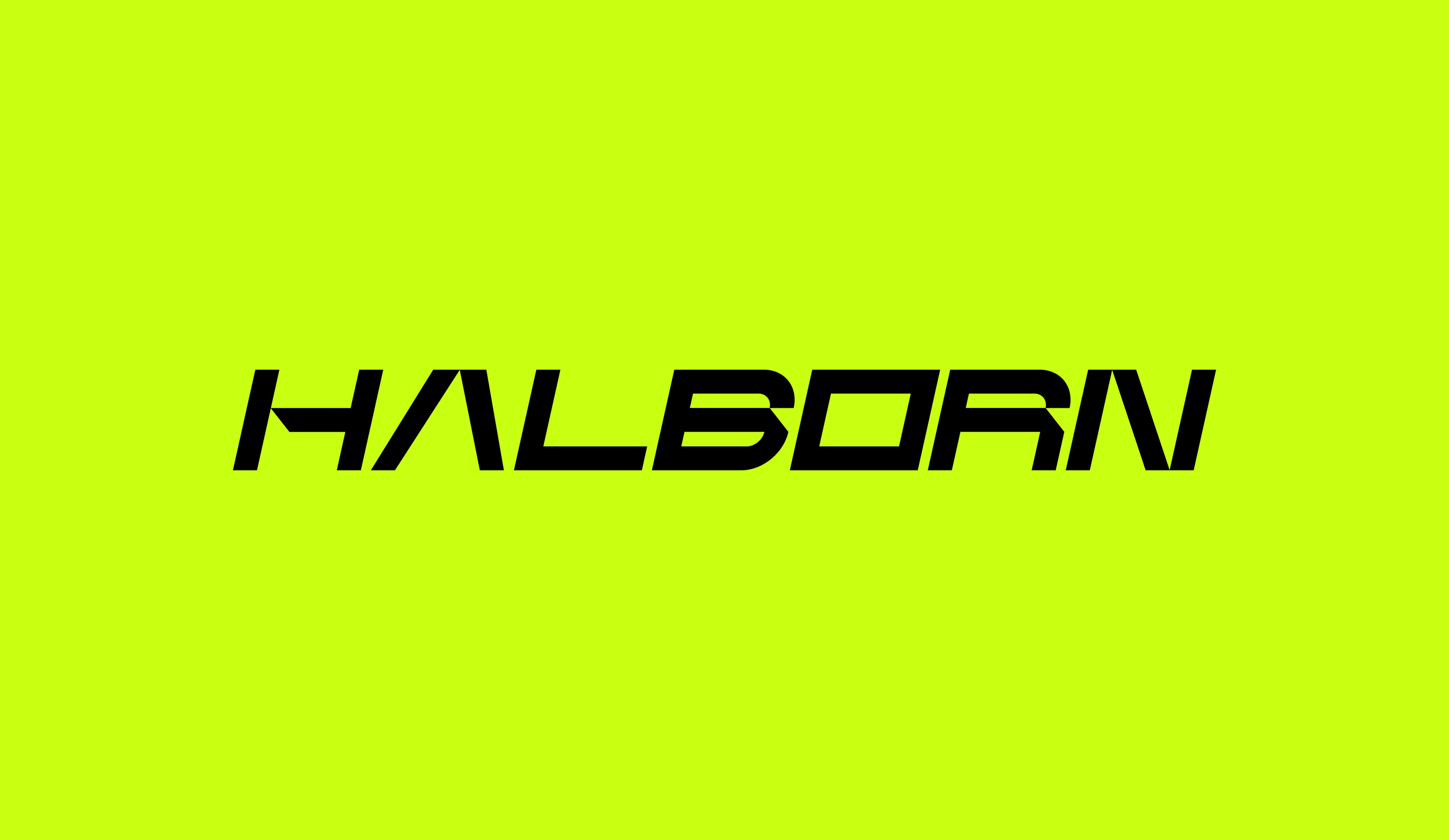 Halborn Security Logo